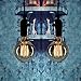 Vintage Edison Bulbs,Elfeland Antique Retro Incandescent Light Bulb 40W Squirrel Cage Filament Light Bulb G80 Classic Amber Glass E26/E27 Medium Base Dimmable (2 Pack)