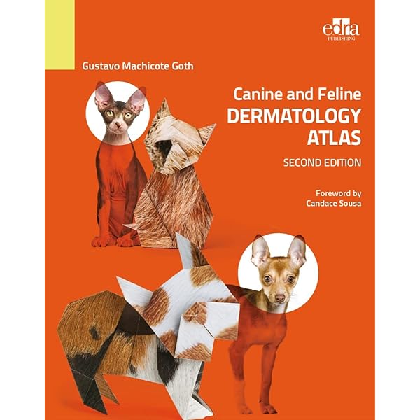 Small Animal Dermatology: A Color Atlas and Therapeutic Guide