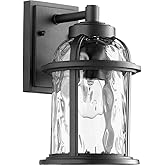 Quorum 7760-69 Transitional One Light Outdoor Lantern from Winston Collection in Bronze / Dark Finish,