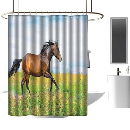 Amazon Com Wixuewu Equestrian Shower Curtains Octopus Horse Runs