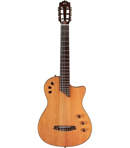 Amazon.com: Godin Multiac Nylon Encore Acoustic Electric Classical