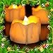 Youngerbaby 24pcs Amber Yellow Flickering Timing Tea Light Candles with Timer (6 Hrs on 18 Hrs Off) Flameless LED Tealights Wax Dripped Battery Operated Candles for Wedding Birthday Party Dinner