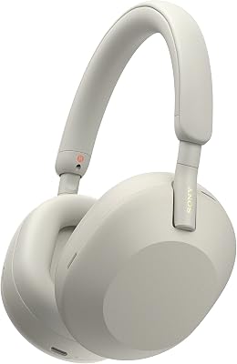 WH-1000XM5 Custodia Rigida |Cuffie Wireless Over-Ear, Noise Cancelling di Nuova Generazione con Spatial Audio, Fino a 30 Ore di Batteria, Bluetooth, Silver