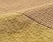 Tortoise Long Size Noren(japanese Curtain) Mustard Yellow 85x175cm From Japan 21531