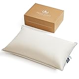 Pacific Coast Down Pillow with Organic Cotton