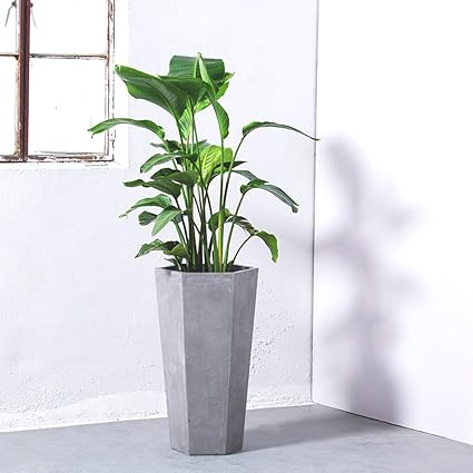 amazon com fighch maceta de arcilla