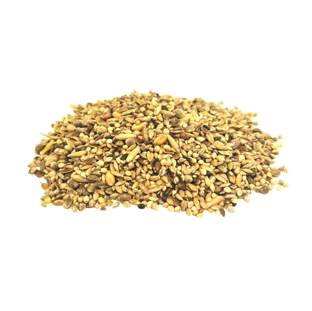 1kg Lovebird Seed LJJ