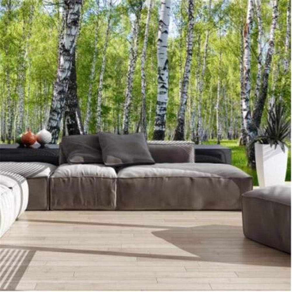 Fotomurales murales Mural adhesivo 3D Naturaleza paisaje bosque de