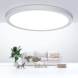 DEALGADGETS Flush Mount Ceiling Light