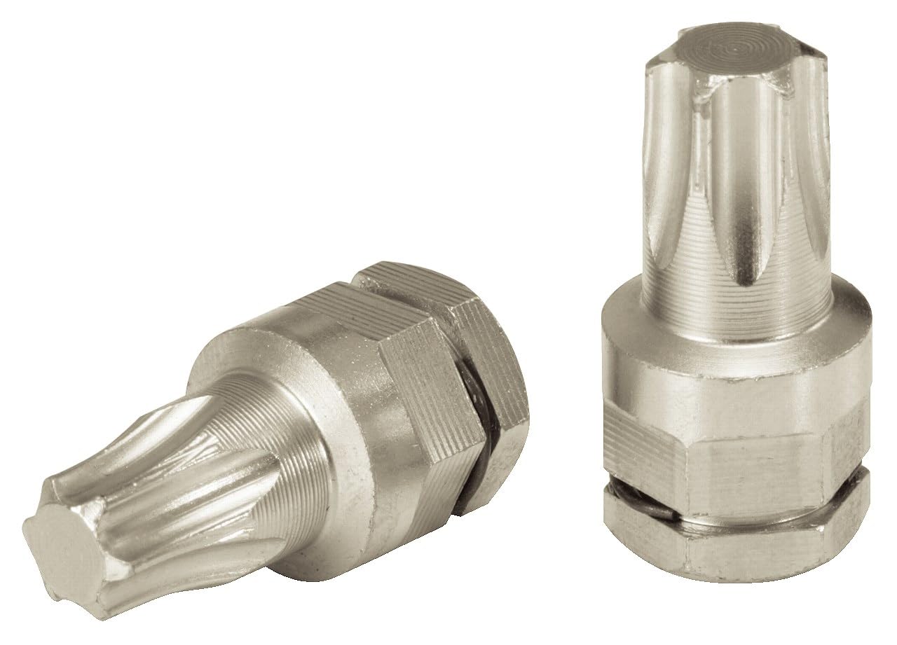 KS-Tools 503.8173 Micro Bit TX,L=23mm,T20