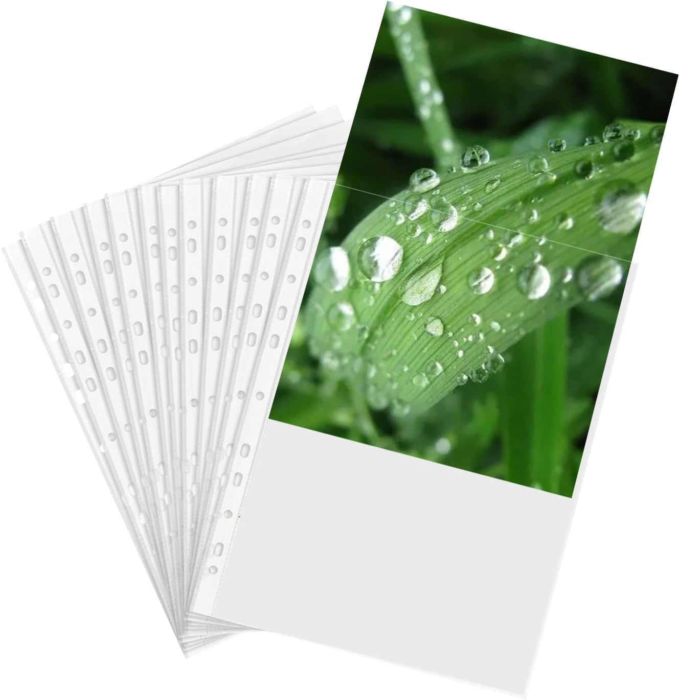 Pack of 100 A4 Punched Pockets, TRANBO 60 Micron Strong Polypropylene Document Paper Sheet Protector for Folders Plastic Filing Wallets Sleeves with 11 Holes, Glass Clear Top-Opening Pockets — image 1
