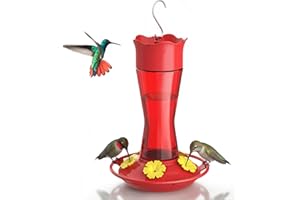 Kingsyard Glass Hummingbird Feeder for Outdoors Hanging, 10 oz Leak-Proof Humming Bird Feeders with Ant Moat & Bee Proof Feed