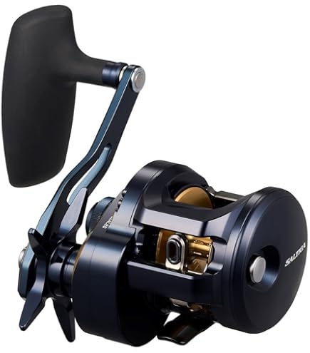 Amazon.com: Daiwa 22SALTIGA 15 Bait Reel for Jigging : Sports