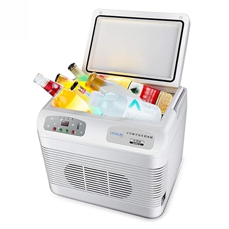 XJWN Mini Nevera Portátil térmica Doble función enfría y calienta ...