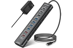 Rosonway 10-Port Powered USB 3.2/USB C Hub 60W with 10Gbps USB-A 3.2, 2 USB-C 3.2, 4 USB 3.0 Data Ports, 1 USB-C PD and 2 USB-A Fast Charging Ports, Aluminum USB Splitter for Laptop/PC, RSH-A10QPD