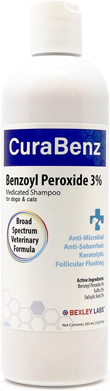 aussies for adoption