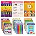 Educational Posters for Kids Preschool Learning with Glue Point Dot for Nursery Homeschool Kindergarten Classroom - Numbers Alphabet Days Time Colors and More, 16 x 11 Inch, Set of 15