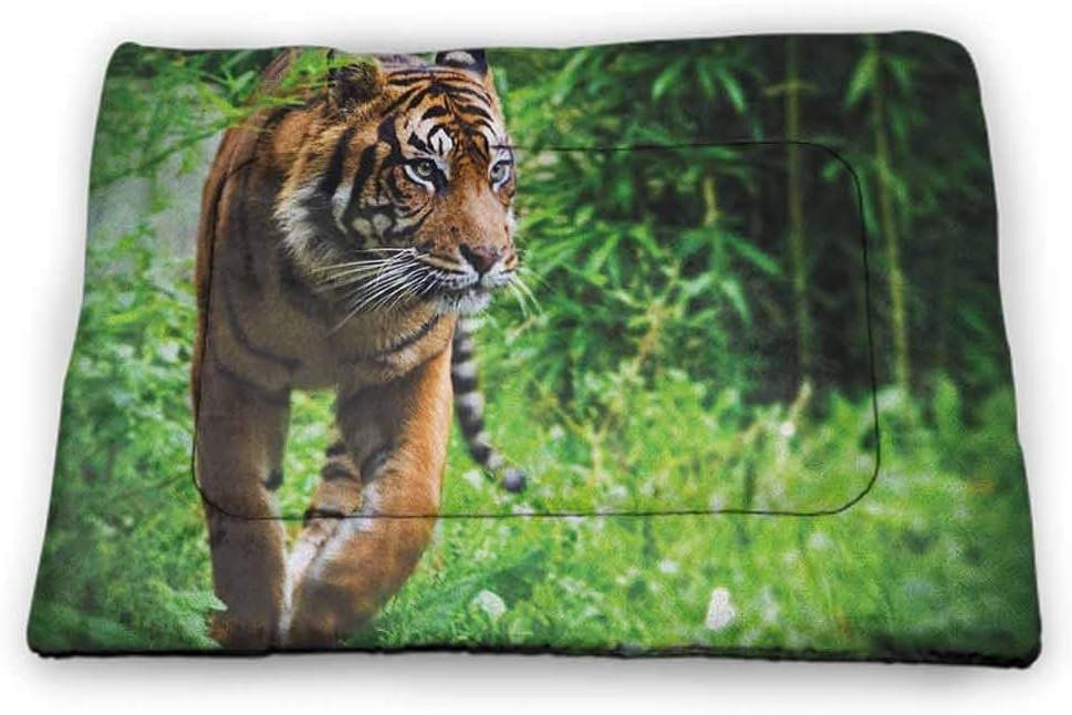 amazon-pet-crate-mattress-tiger-dog-cat-beds-for-crates