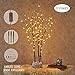 Hairui Lighted Brown Twig Branches Plug in with Dimmer and Timer 30IN 150 LED Fairy Lights, Lighted Willow Branches for Indoor Outdoor Spring Christmas Room Wedding Decoration (Vase Excluded)
