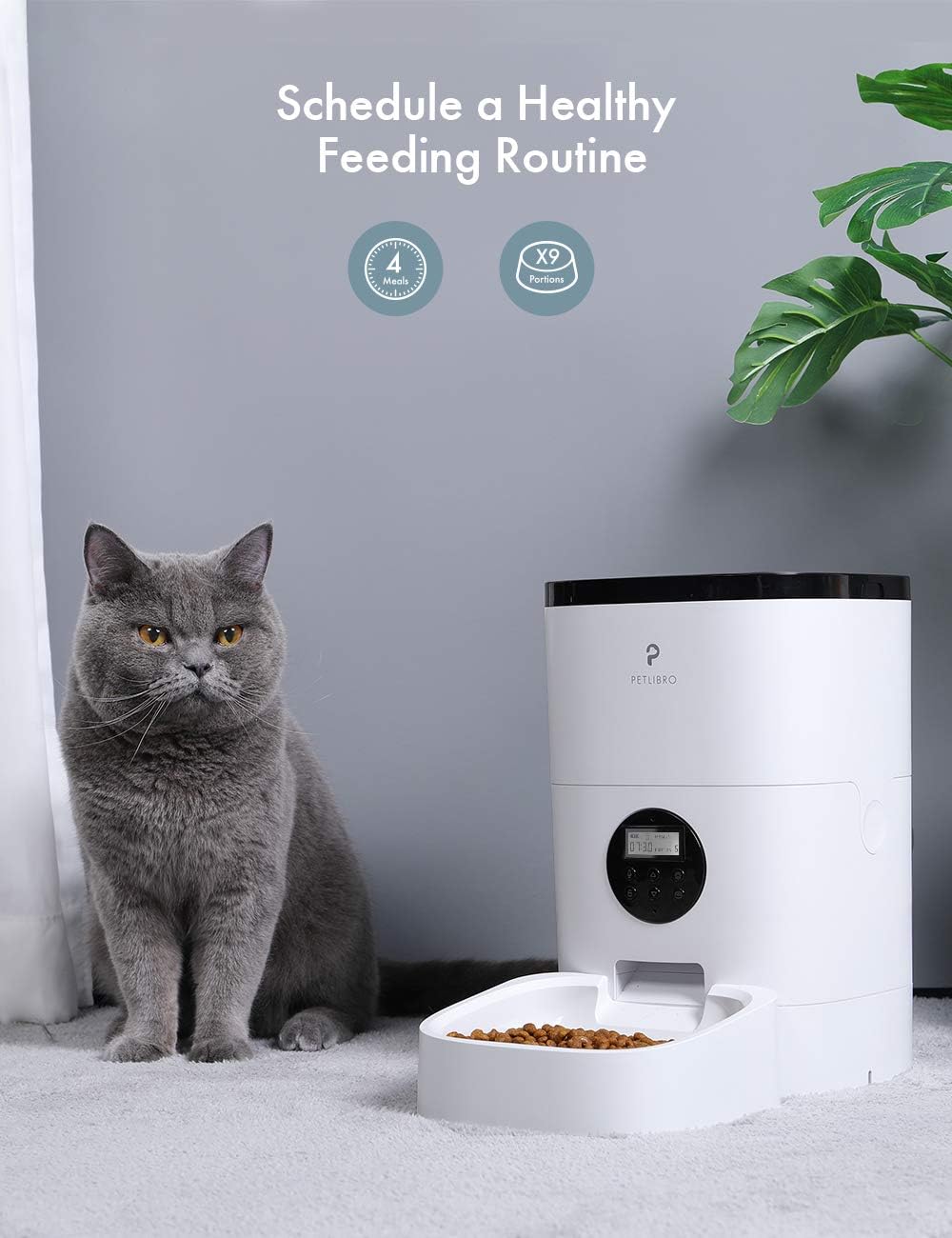 Kitchen & Dining : PETLIBRO Automatic Cat Feeder, Timed Cat Feeder with Desiccant Bag for Dry Food, Programmable Portion Control 1-4 Meals per Day & 10s Voice Recorder for Small / Medium Pets (4L) : 