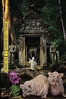 eBook edition cover