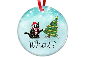 OASSIE Cat Lover Gifts for Women, Funny Black Cat Ornaments Christmas Decorations for Christmas Tree, Gifts for Cat Lovers Ornaments Gifts, Cute Black Cat Christmas Decorations Ceramic Ornaments