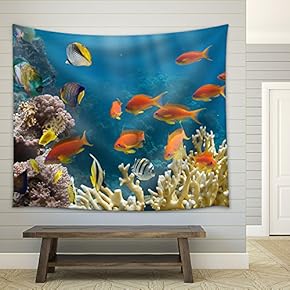 Coral and Fish in The Red Sea.Egypt - Fabric Wall Tapestry Home Decor - 51x60 inches