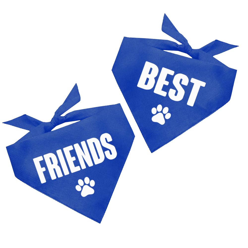 Best Friends Dog Bandana for Dogs Contains 2 (Assorted Colors)