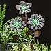 CEDAR HOME Galvanized Floral Garden Stake Outdoor Glow in Dark Plant Pick Water Proof Metal Stick Art Ornament Decor for Lawn Yard Patio, 4