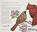 BACKYARD BIRDS AND BLOSSOMS (tr) Cornell Lab Publishing