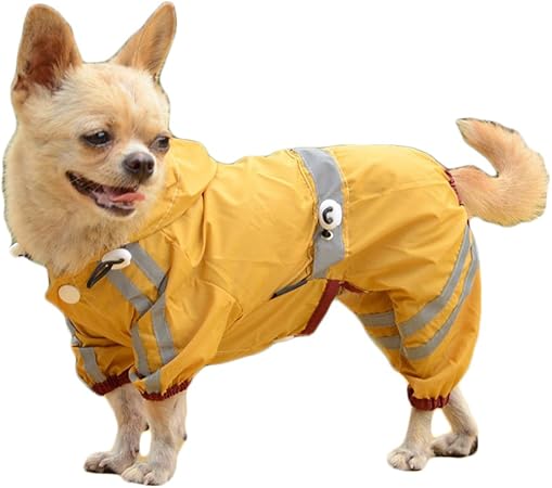 shih tzu raincoat