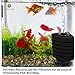 SunGrow 6-Layer Betta Corner Filter - Provides Biological and Chemical Filtration - Easy to setup, just connect to Air pump - Promotes Colonization of Nitrifying Bacteria - Ideal for Small Fish Tanks