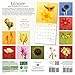 Bloom 2017 Wall Calendar: Flower Photography by Ron Van Dongen