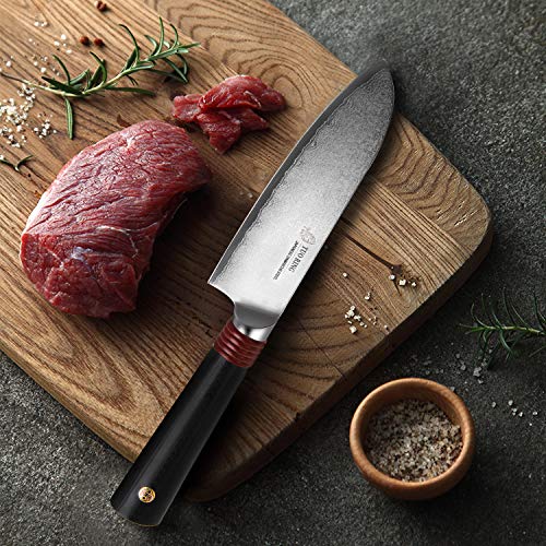 TUO Damascus 5.5 inch Santoku Knife Kitchen Damascus Knives with