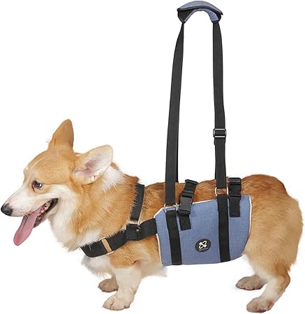 Coodeo Dog Lift Harness Pet Support Rehabilitation Sling Lift Adjustable Padded Breathable Straps For Old Large Arthritis Disabled Loss Of Stability Dogs Walk Joint Injuries Pet Supplies Dogs