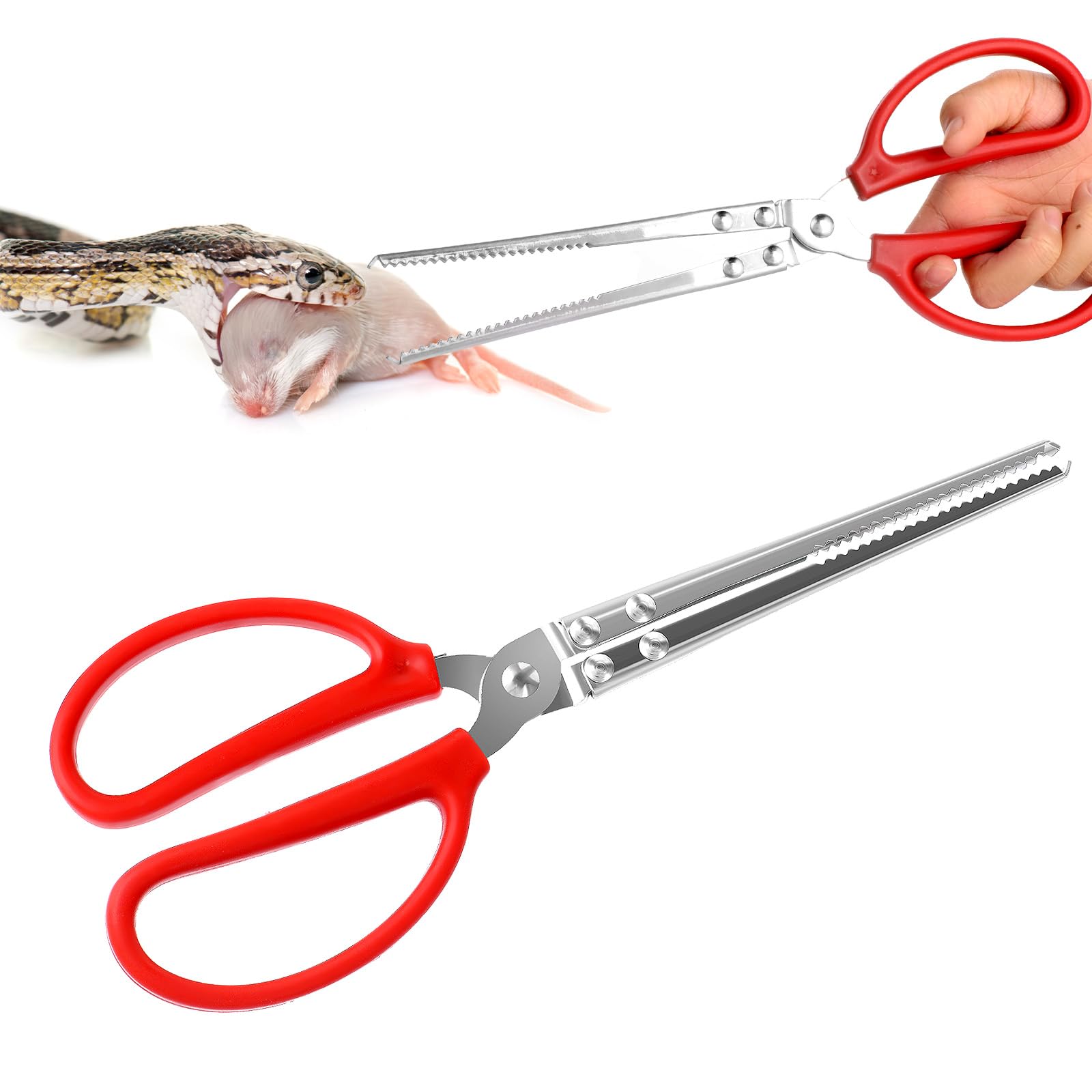 PEOVLVN Reptile Feeding Tongs, 28cm Aquarium Tweezers Snake Feeding Tongs Anti-Skid Easy-Grip Extra Long Tweezers for Aquarium Reptile Tank Accessories Terrarium Tools Feeding Tongs (Red)