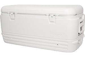 Igloo Hard Cooler | Polar & Party Bar Series | Insulated Ice Chests