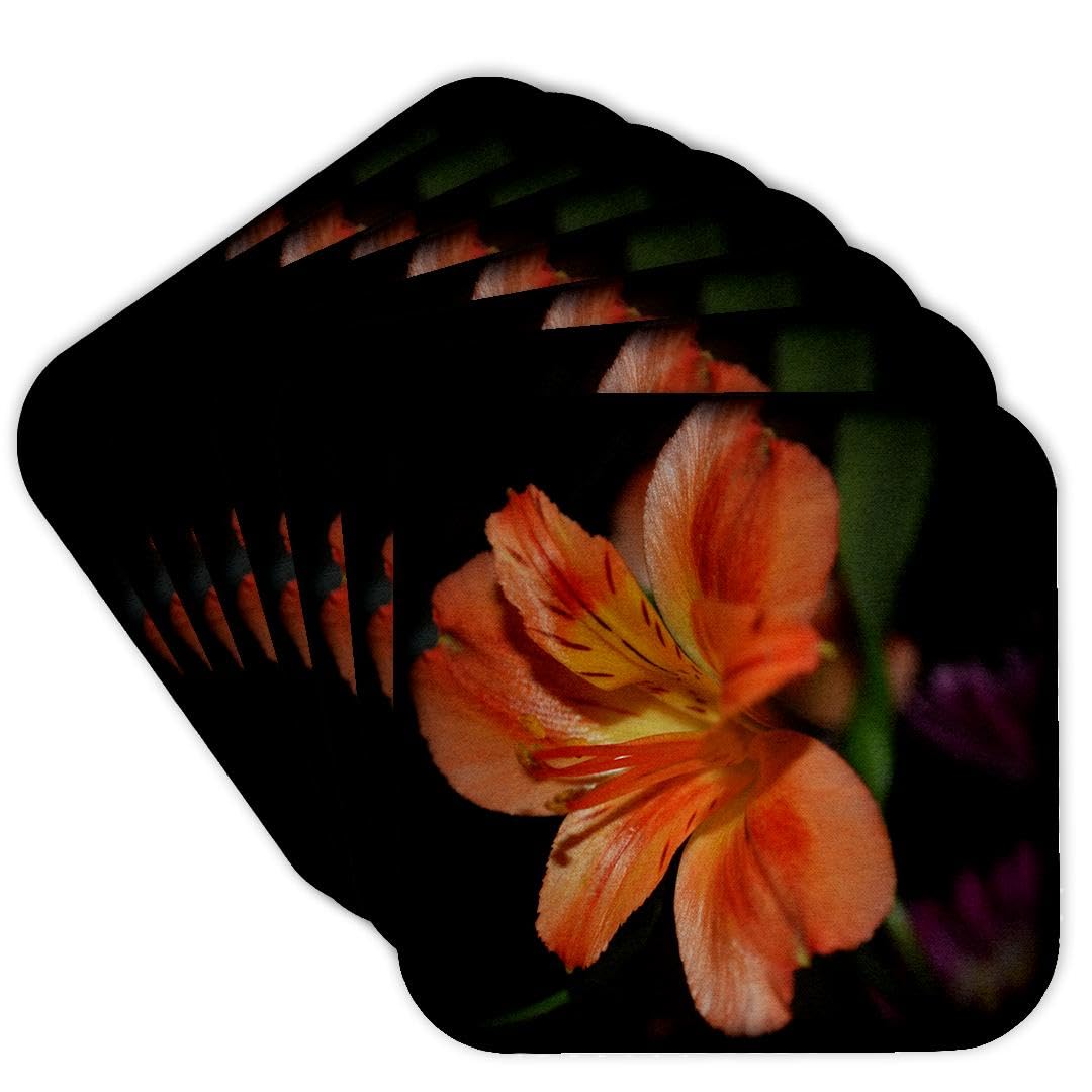 3dRose CST_211954_2 Coasters, Mutli-colour