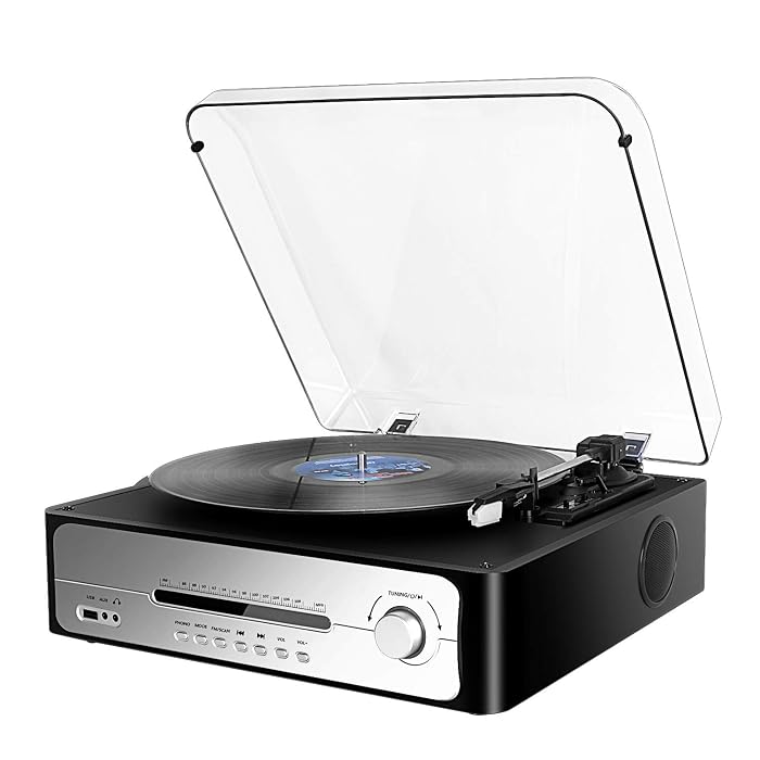 DL Vinyl record FM Radio 