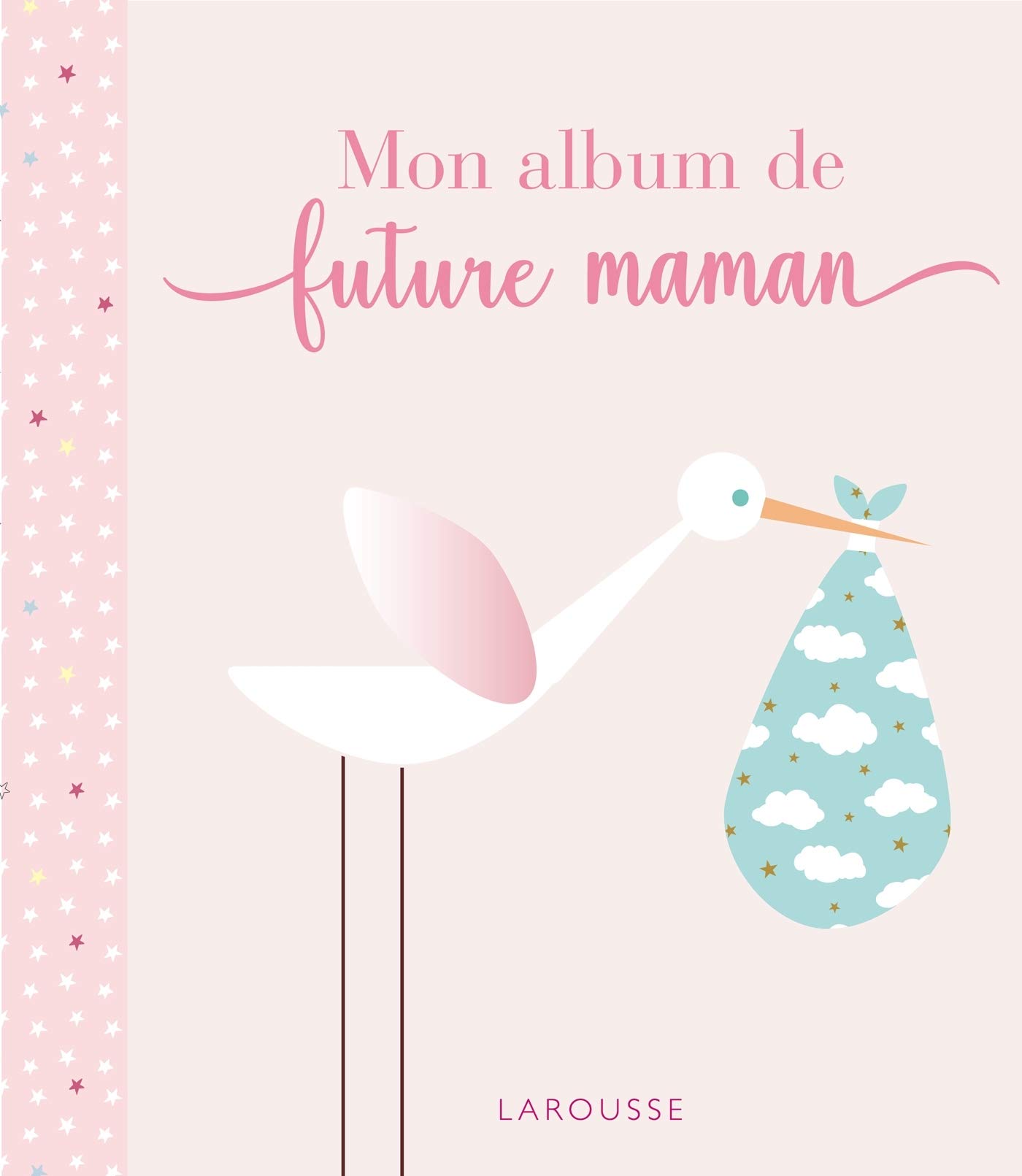 Mon Album De Future Maman Album Grossesse French Edition Collectif Amazon Com Books
