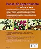 Image de Bonsai da appartamento. Creazione e cura