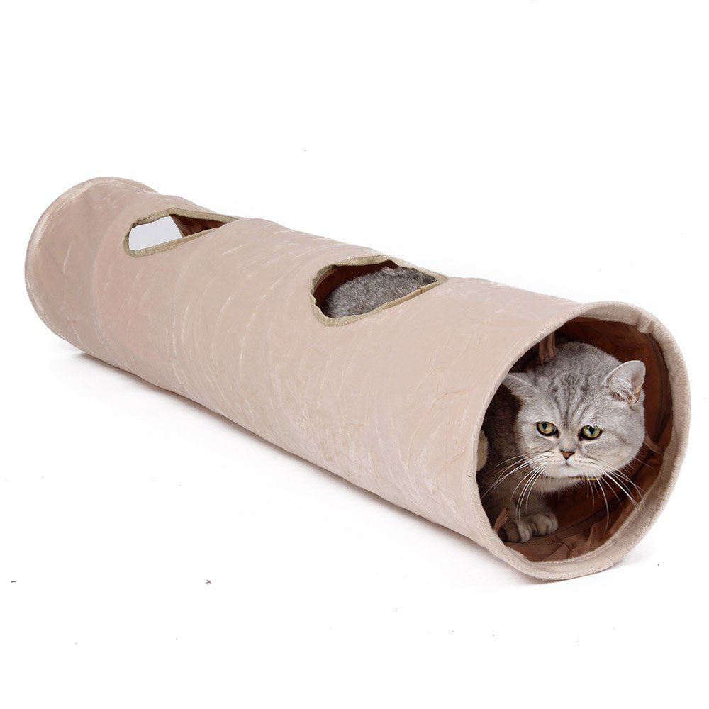 small cat tunnel