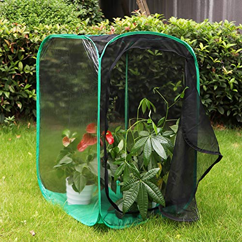 RESTCLOUD 36" Large Monarch Butterfly Habitat, Giant Collapsible Insect