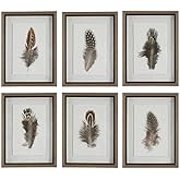 Birds Of A Feather - Framed Wall Decor (Set of 6) - 20 Inches Tall and 15 Inches Wide