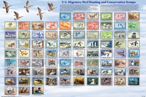 Laminated U.S. Migratory Bird Hunting and Conservation Stamps Poster