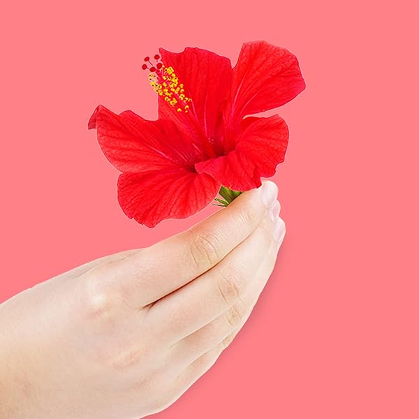 POO-POURRI BEFORE-YOU-GO POCKET TOILET SPRAY, TRAVEL ESSENTIALS, TROPICAL HIBISCUS, 1 FL OZ, UP TO 50 USES, ON-THE-GO BATHROOM ODOR DEODORIZER WITH ESSENTIAL OILS, TSA APPROVED SIZE, HIBISCUS, APRICOT