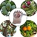 Orgrimmar 2 Packs Fruit Pickers with Nylon Catcher Basket Labor Saving Gardening Farm Picking Device Tools
