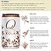 Q Mixers Kola, Premium Cocktail Mixer, 7.5 oz (12 Cans)