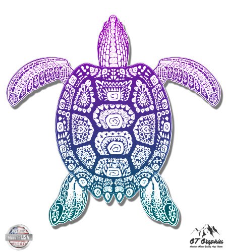 Sea Turtle Beautiful Color - 3