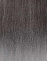 Outre X-Pression Braid - Pre Stretched Braid 52" 3X